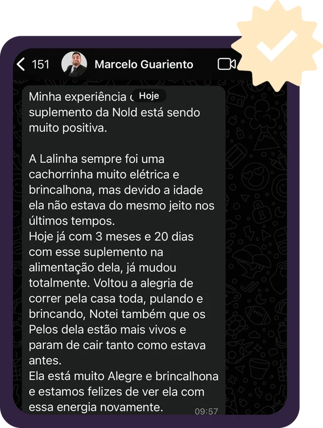 Print do WhatsApp: Marcelo conta que a Lalinha, com 3 meses e 20 dias de Nold, voltou a correr pela casa e o pelo parou de cair