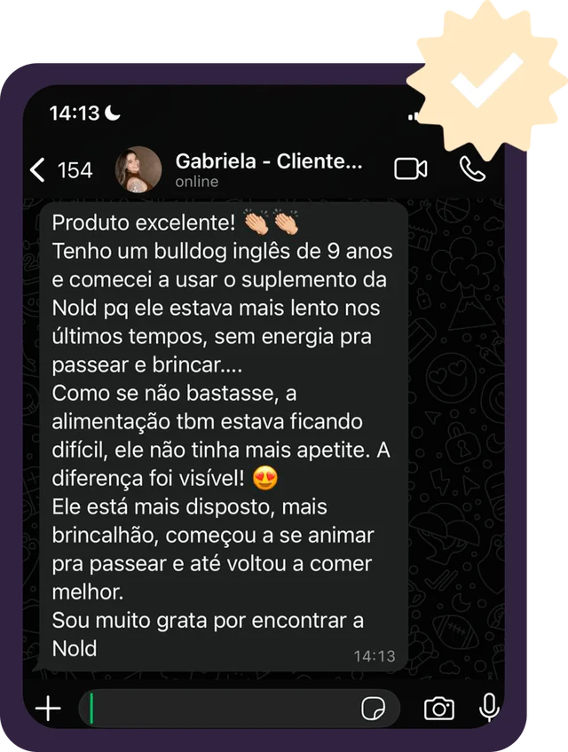 Print do WhatsApp: Gabriela conta que o bulldog inglês de 9 anos está mais disposto e voltou a comer melhor
